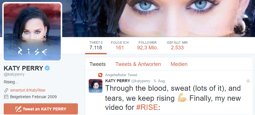 Katy Perry hat derzeit die meisten Follower auf Twitter.
